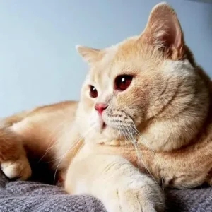 258381739_1235606623612395_5490137961022620783_n-825x510