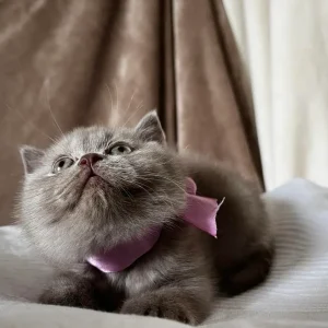 367706009_1355880698378479_9032273653467557825_n