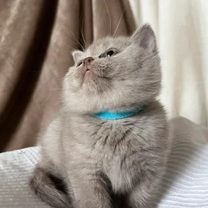 370258819_713672493996657_5435277637699227874_n