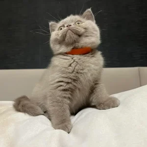 371209146_305199495691270_8873585102687377347_n