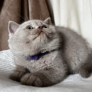 386870728_301585759498223_7269905162274182705_n