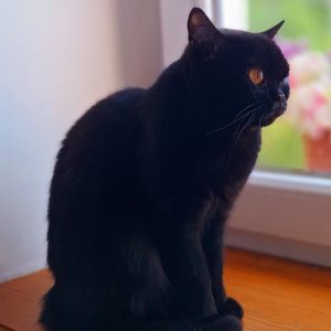 WhatsApp Image 2026-01-15 at 12.35.29